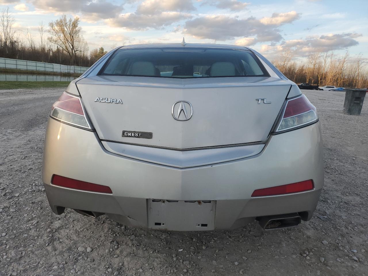 2009 Acura Tl VIN: 19UUA86219A012088 Lot: 79076984