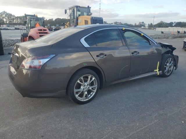  NISSAN MAXIMA 2012 tan