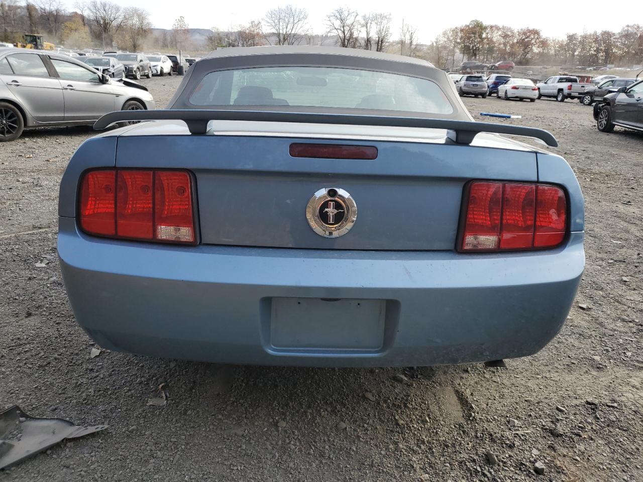 2006 Ford Mustang VIN: 1ZVFT84N065116166 Lot: 78828354