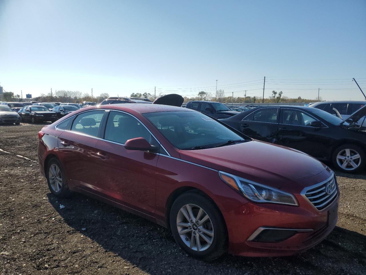 VIN 5NPE24AF1GH325733 2016 HYUNDAI SONATA no.4