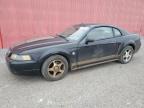 2004 Ford Mustang  продається в London, ON - Minor Dent/Scratches