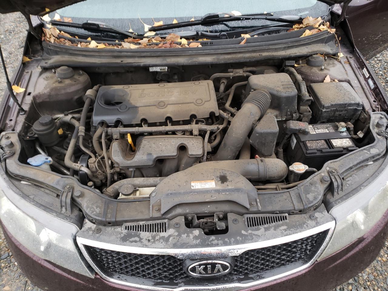 2010 Kia Forte - Image 11