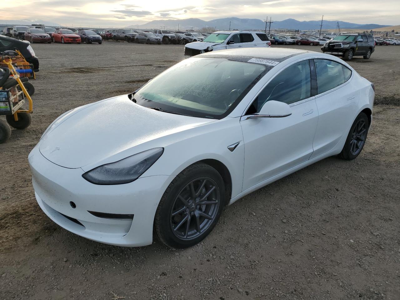 VIN 5YJ3E1EB5LF617818 2020 TESLA MODEL 3 no.1