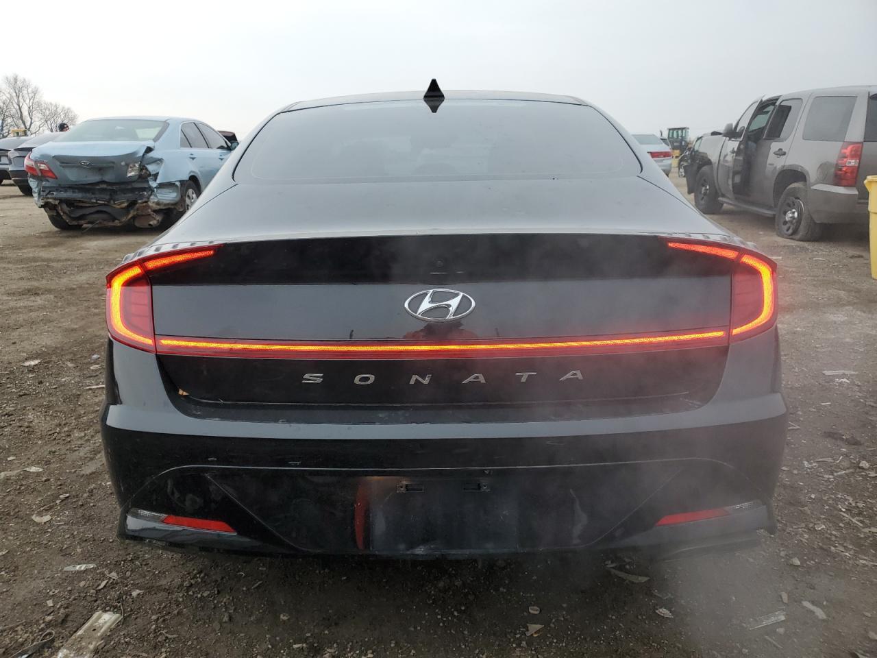 2020 Hyundai Sonata Sel VIN: 5NPEL4JA7LH029384 Lot: 81125844