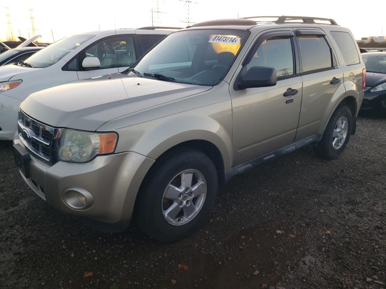 2010 Ford Escape Xlt VIN: 1FMCU9DGXAKB79372 Lot: 81473714