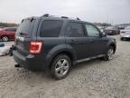 2009 Ford Escape Limited na sprzedaż w Memphis, TN - Side