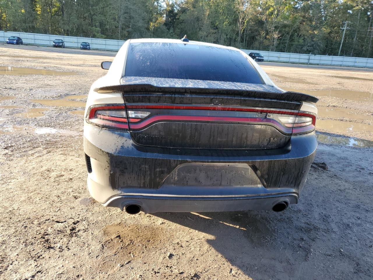 2021 Dodge Charger Scat Pack VIN: 2C3CDXGJ4MH566029 Lot: 81344104