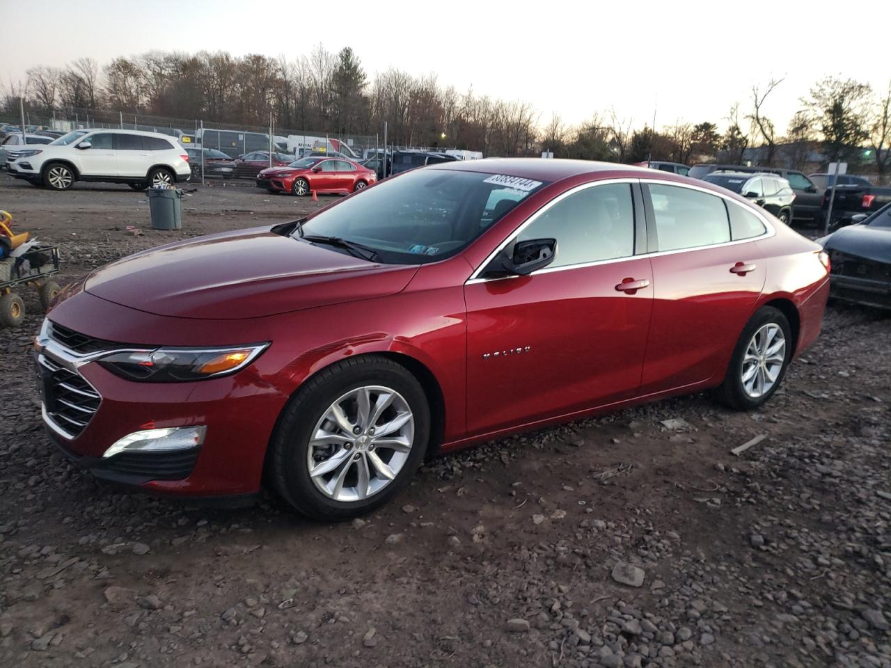 2019 CHEVROLET MALIBU