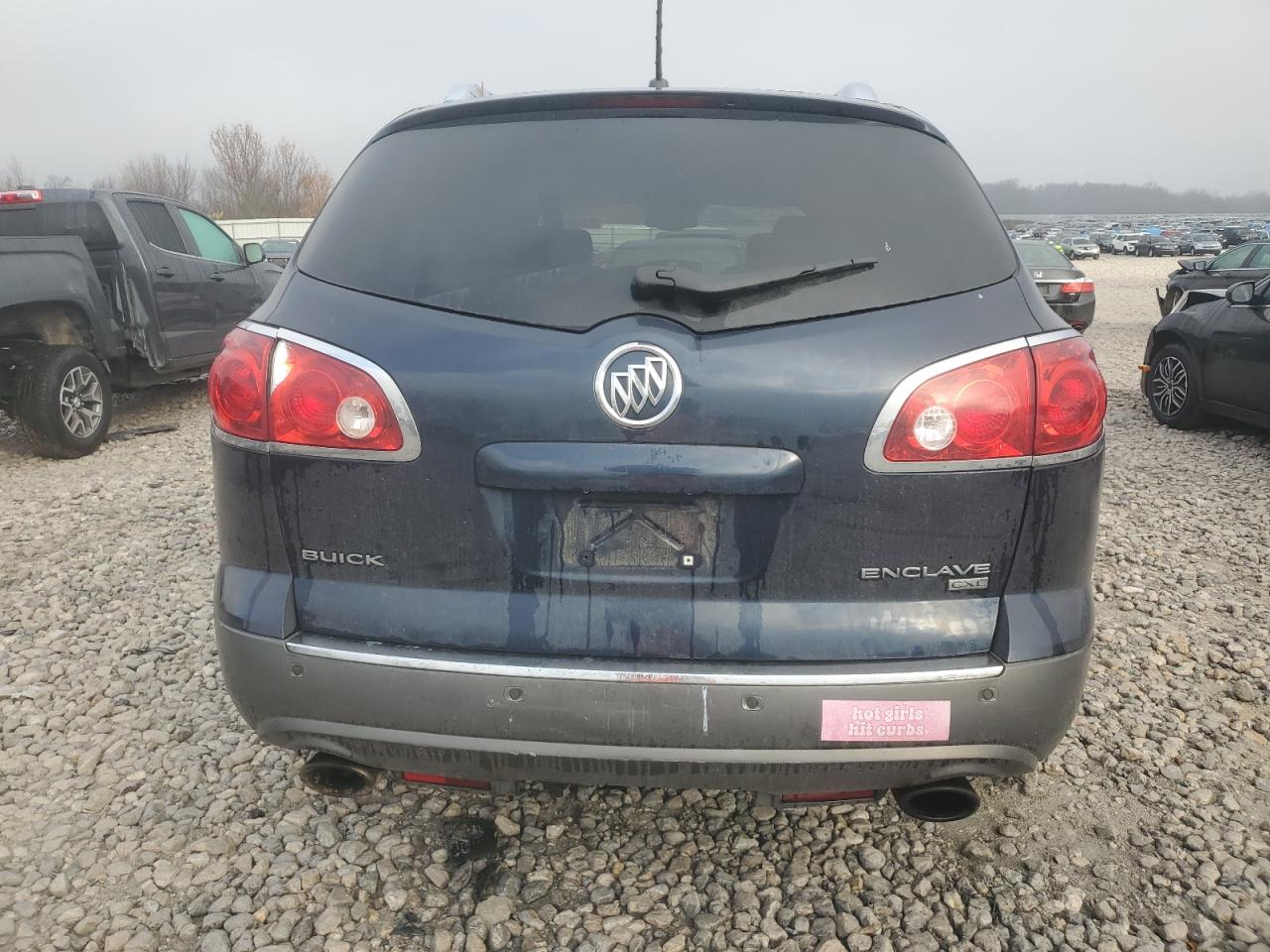 2008 Buick Enclave Cxl VIN: 5GAEV23718J117329 Lot: 81091374