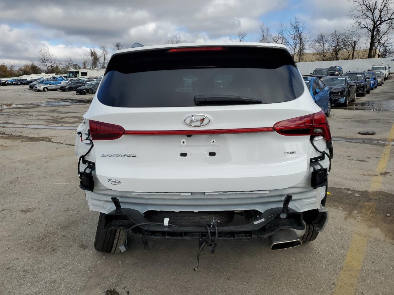 2023 Hyundai Santa Fe Sel Premium VIN: 5NMS3DAJXPH589258 Lot: 76375374