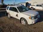 2011 FORD ESCAPE XLT for sale at Copart QC - MONTREAL