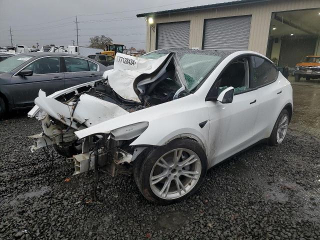  TESLA MODEL Y 2021 White