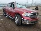 2013 Ram 1500 Slt იყიდება Elgin-ში, IL - All Over