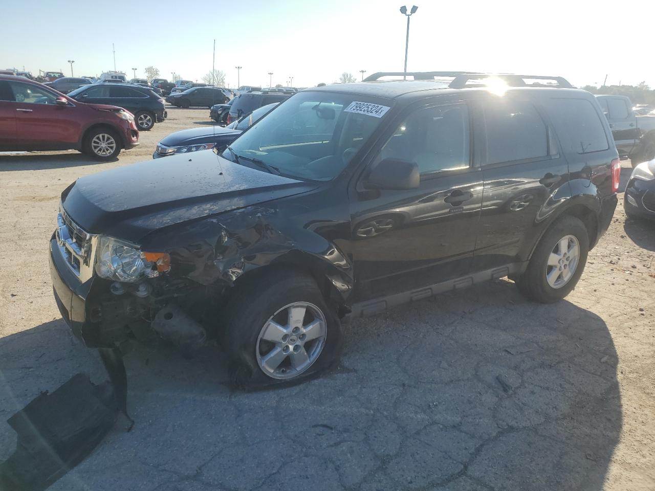 2012 Ford Escape Xlt за продажба в Indianapolis, IN - Front End