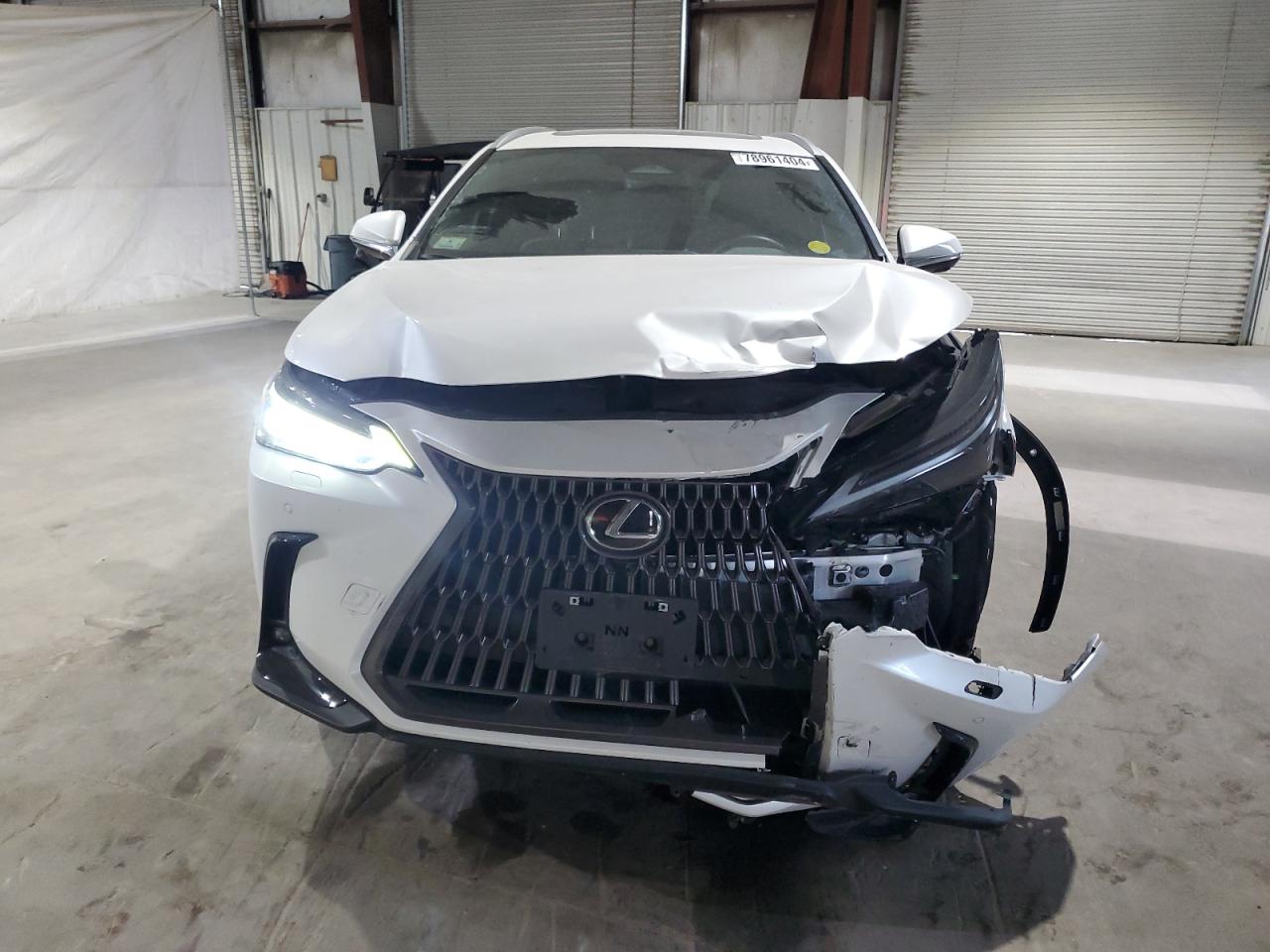 2024 Lexus NX - Image 5