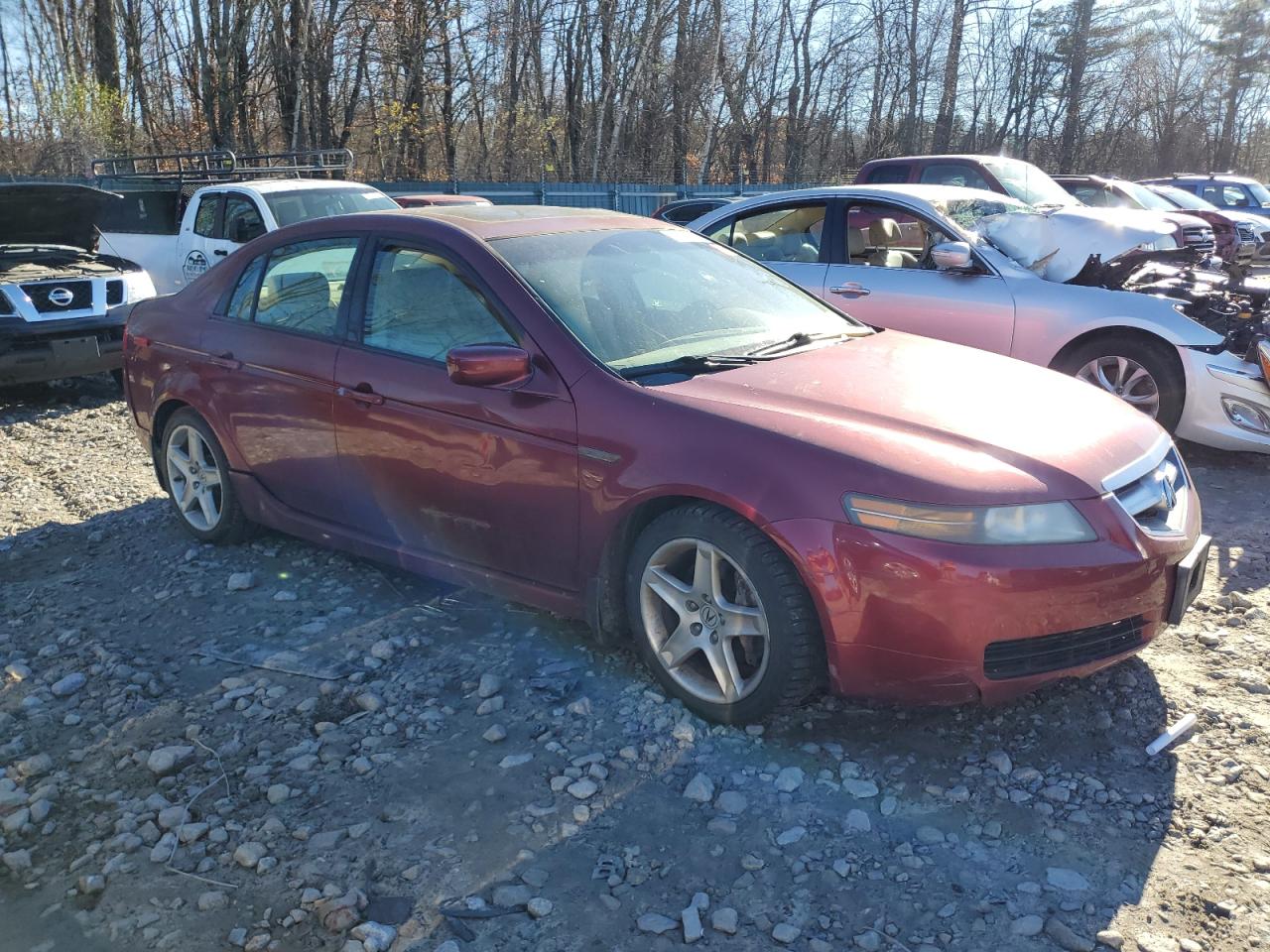 2004 Acura Tl VIN: 19UUA65574A020219 Lot: 80443994