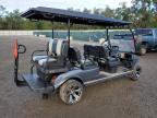 2024 Hdkp Golf Cart zu verkaufen in Riverview, FL - Water/Flood