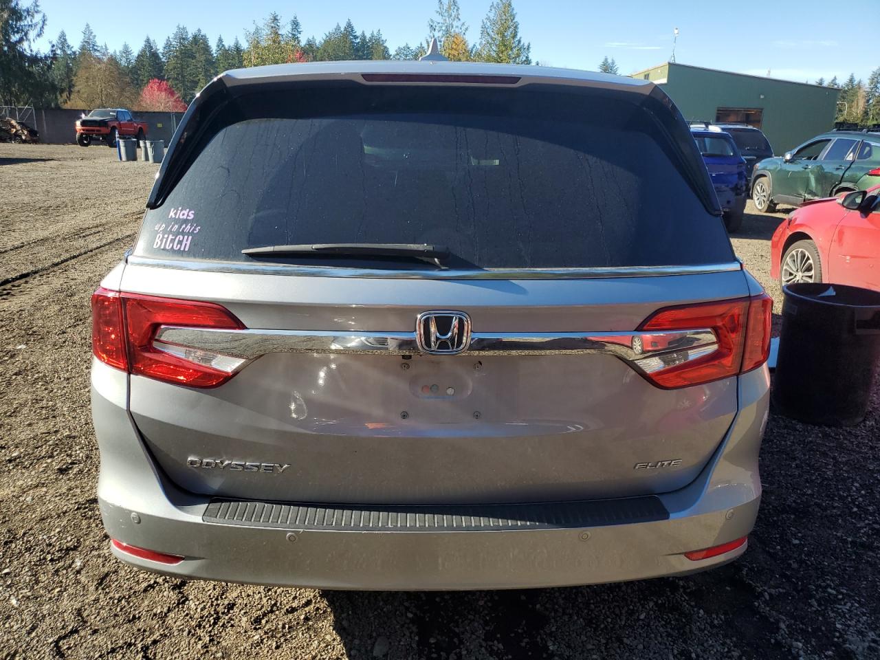 2020 Honda Odyssey Elite VIN: 5FNRL6H96LB022059 Lot: 79285724