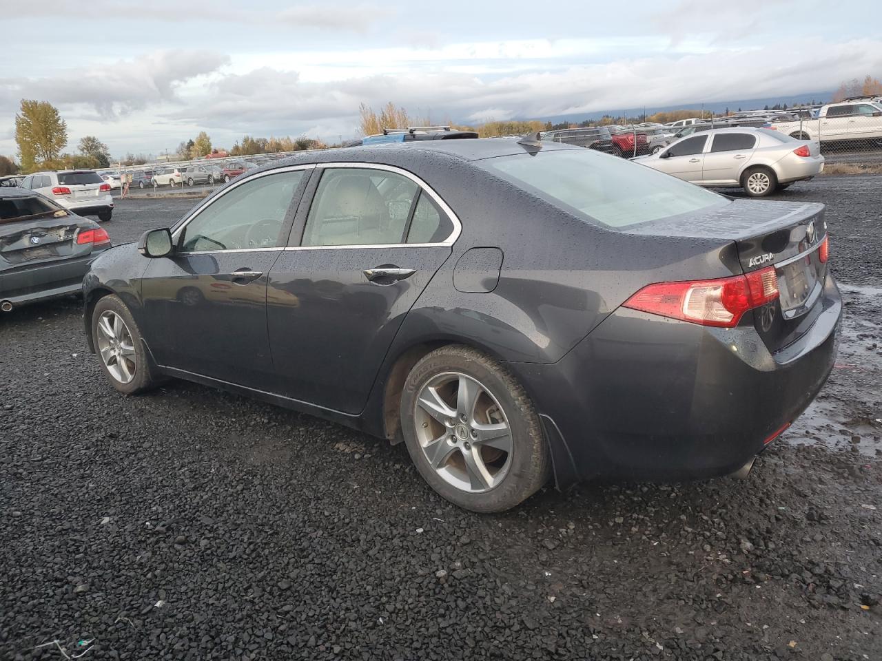 2011 Acura TSX - Image 2