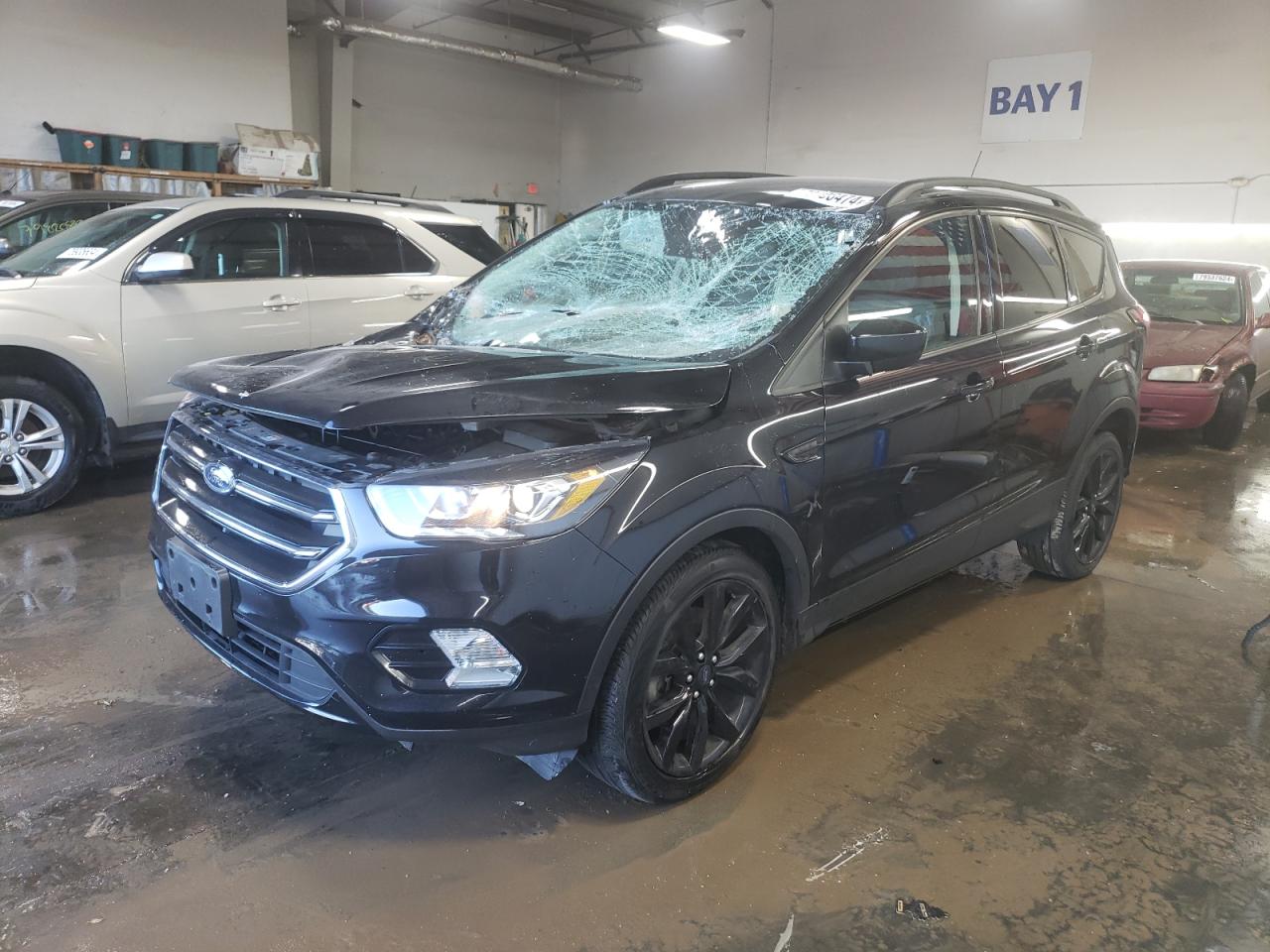 2019 Ford Escape - Image 1