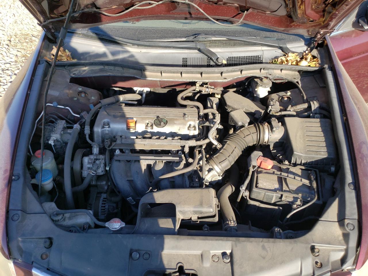 2010 Honda Accord - Image 11