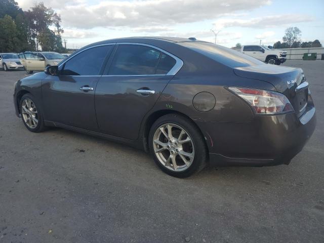  NISSAN MAXIMA 2012 tan