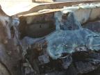 2012 Ford F250 Super Duty للبيع في Kansas City، KS - Burn