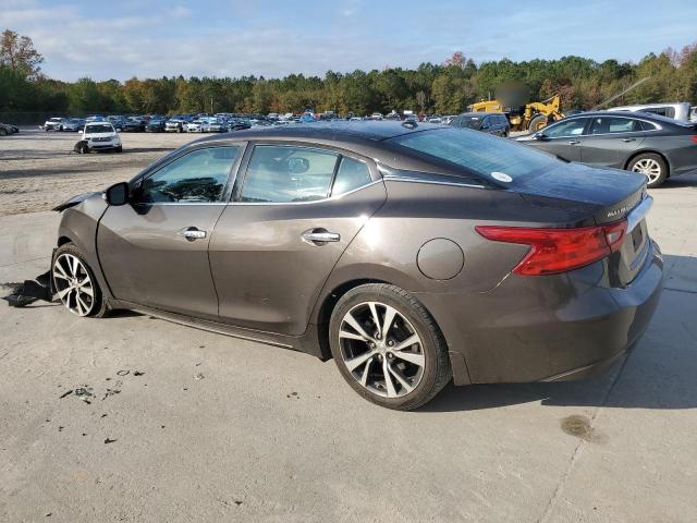 Sedans NISSAN MAXIMA 2016 Gray