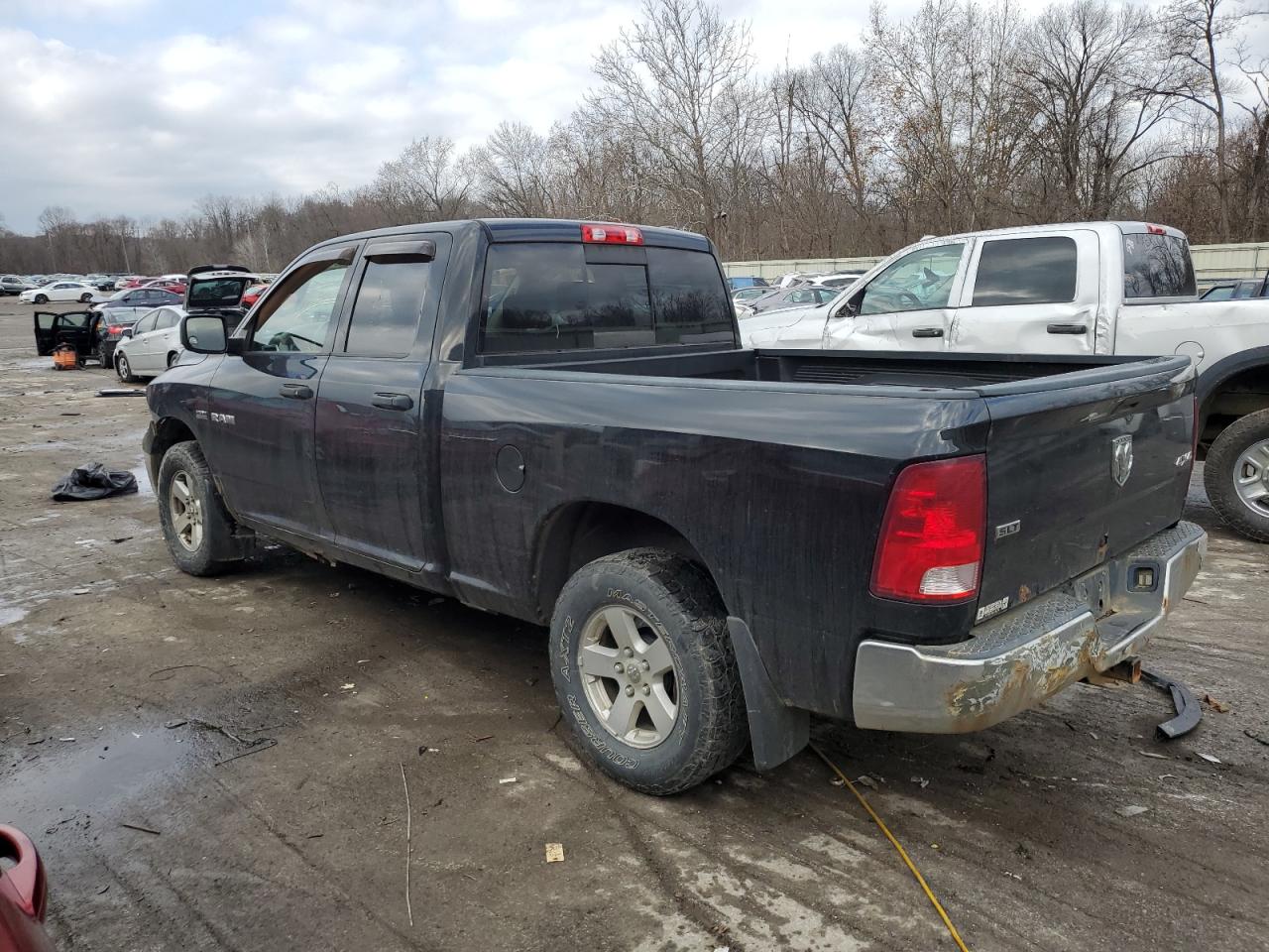 2009 Dodge Ram 1500 VIN: 1D3HV18T69S724079 Lot: 81457754