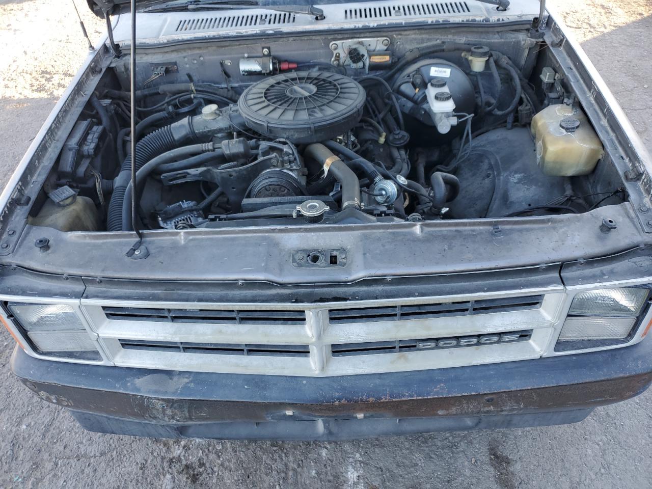 1989 Dodge Dakota VIN: 1B7GG26X1KS183846 Lot: 81846914