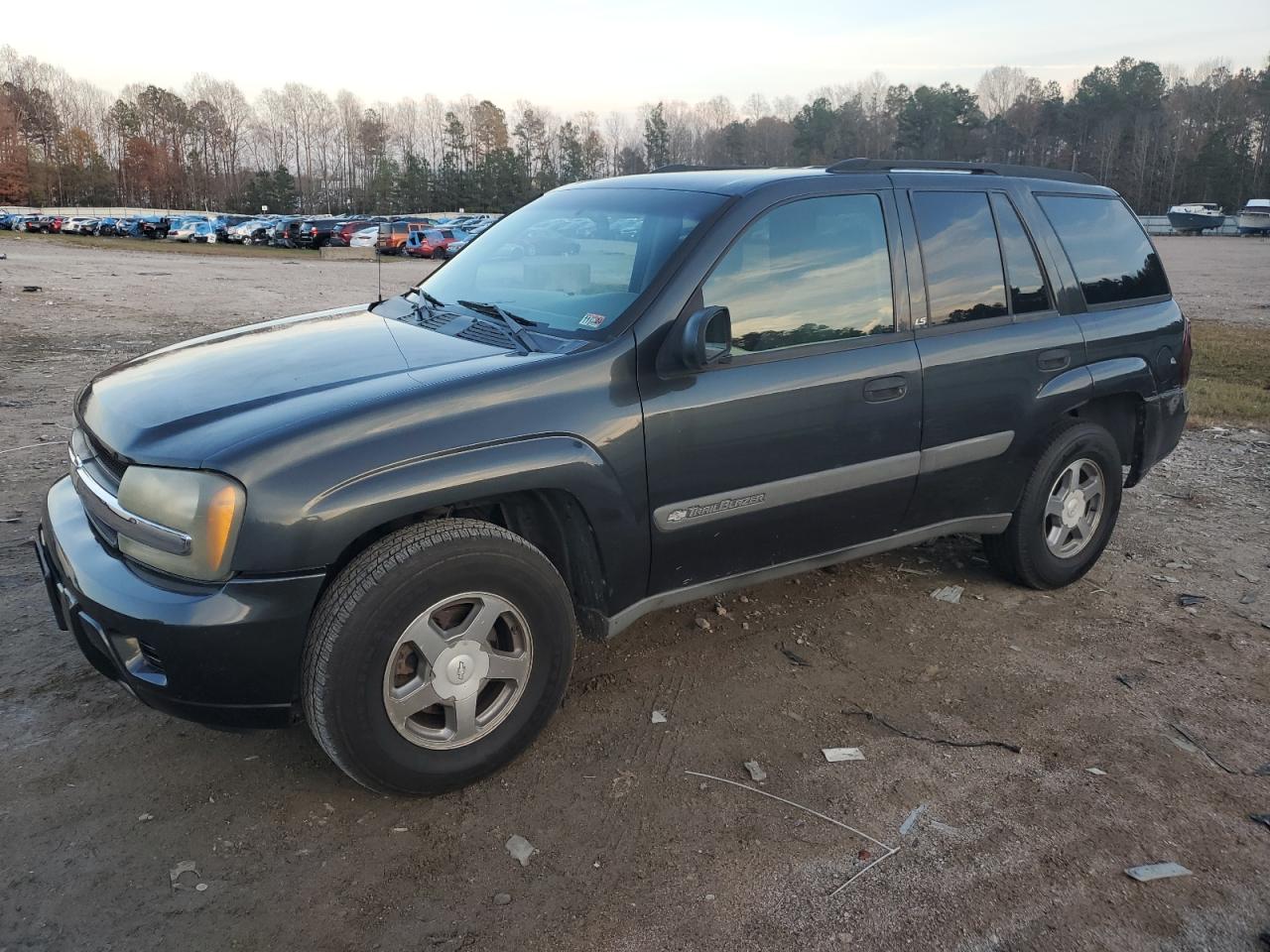 2004 Chevrolet Trailblazer Ls VIN: 1GNDT13S242371660 Lot: 81306814