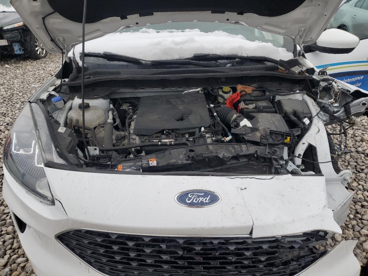 2020 Ford Escape Se VIN: 1FMCU9G65LUC02700 Lot: 81137724