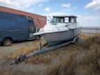 2003 Seasport/United Marine Corp Boat за продажба в Martinez, CA - All Over