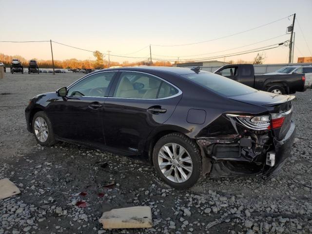  LEXUS ES300 2013 Brown