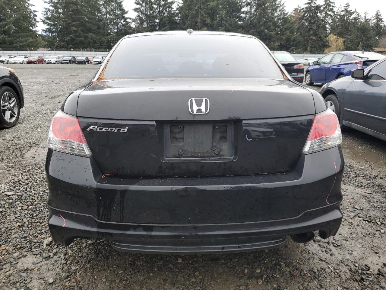 2010 Honda Accord Exl VIN: 1HGCP2F80AA118399 Lot: 81270804