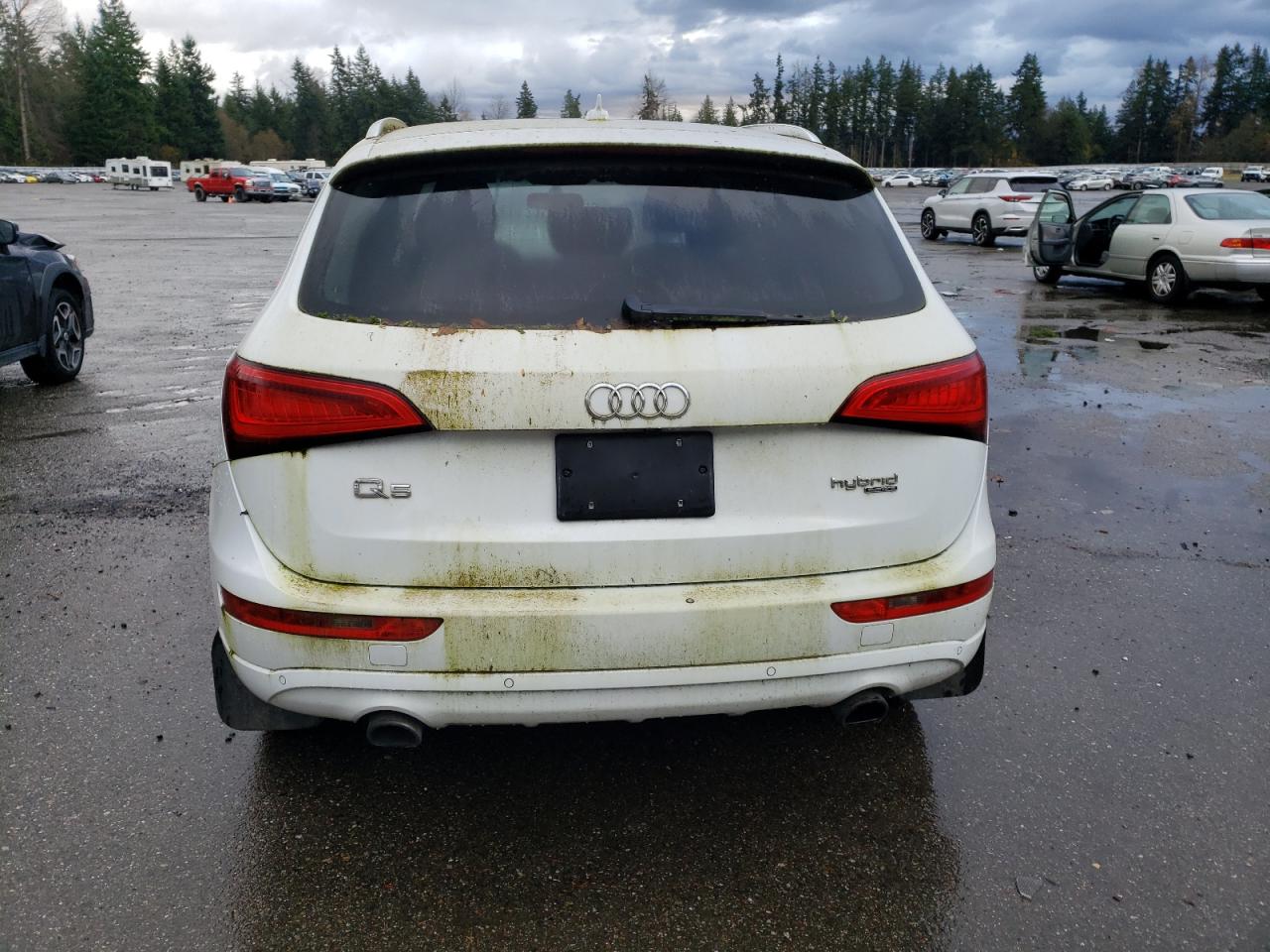 2013 Audi Q5 Premium Hybrid VIN: WA1C8AFP4DA069204 Lot: 80386824