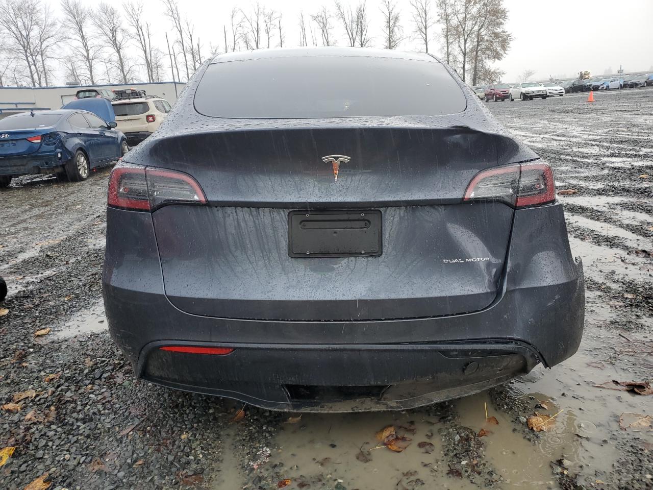 2023 Tesla Model Y VIN: 7SAYGDEE0PF793857 Lot: 79104104