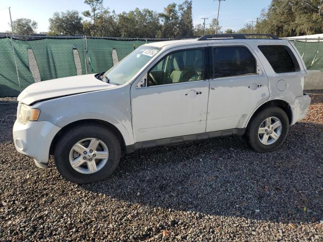 2009 Ford Escape Hybrid