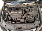 2009 Honda Accord Exl იყიდება Chalfont-ში, PA - Front End