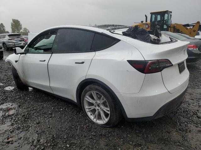  TESLA MODEL Y 2021 White
