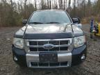 2008 Ford Escape Limited zu verkaufen in Cookstown, ON - Normal Wear