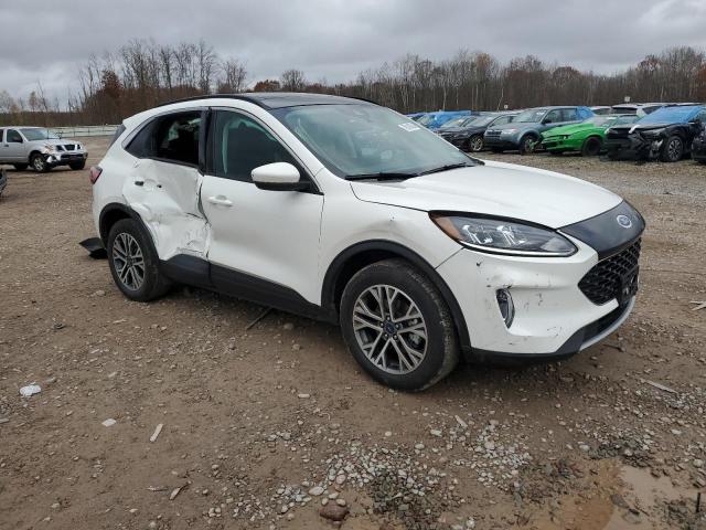  FORD ESCAPE 2021 Белый