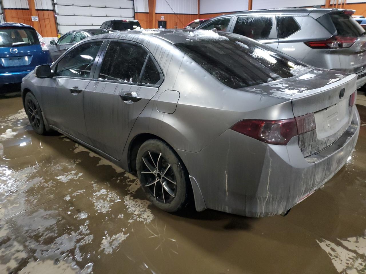 2010 Acura Tsx VIN: JH4CU2F6XAC800585 Lot: 80232264