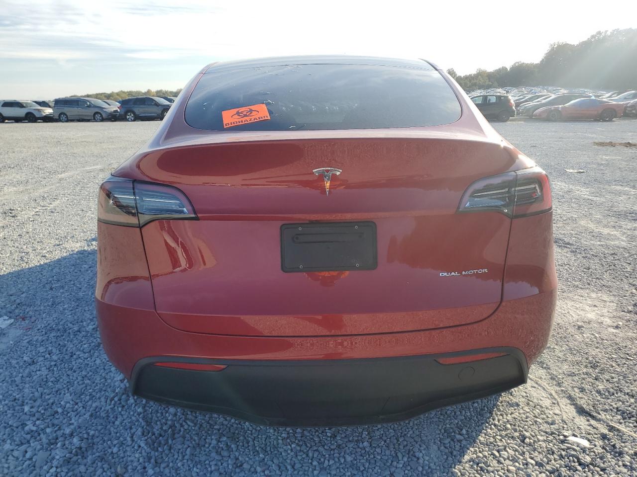 2023 Tesla Model Y VIN: 7SAYGDEE6PA203688 Lot: 80156314