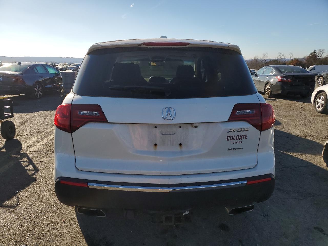 2013 Acura Mdx Technology VIN: 2HNYD2H3XDH515035 Lot: 80989784