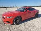 2016 Ford Mustang  for Sale in New Braunfels, TX - Hail