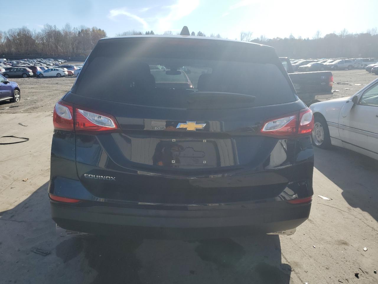 2020 Chevrolet Equinox Ls VIN: 3GNAXHEV0LS567994 Lot: 79132414