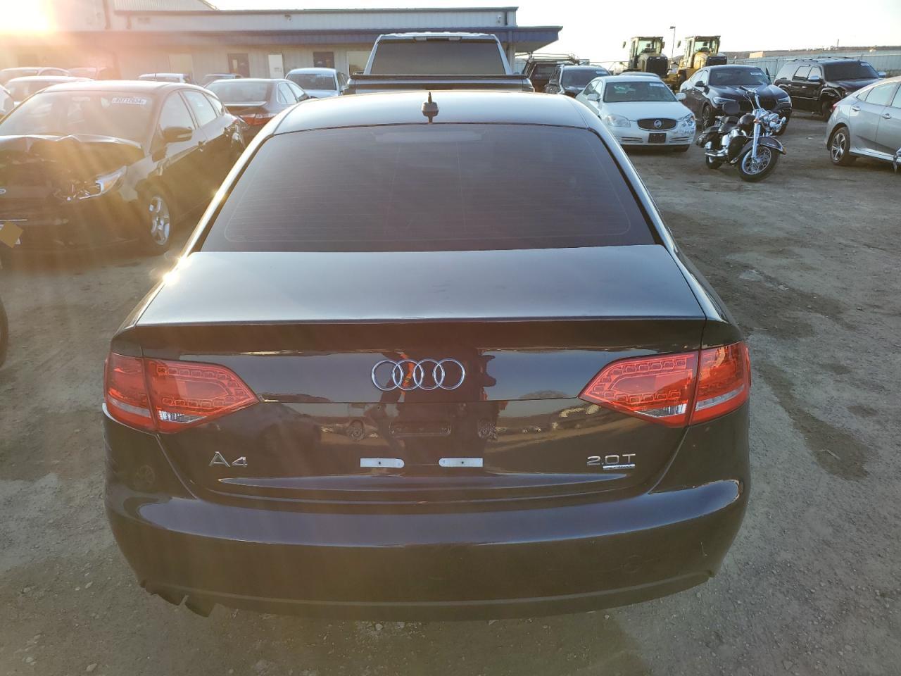 2010 Audi A4 Premium Plus VIN: WAUFFAFL5AN016034 Lot: 81144374