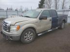 2009 FORD F150 SUPERCREW for sale at Copart ON - TORONTO