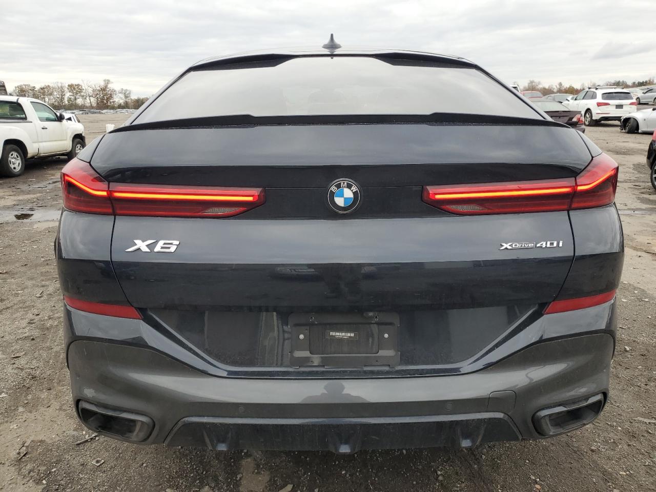 2020 BMW X6 xDrive40I VIN: 5UXCY6C06L9B96273 Lot: 80453024